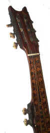 BTW 18 8string neck.jpg (18397 bytes)