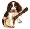 Mel banjo 2.JPG (37604 bytes)