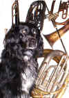 Douglas Brass 2.JPG (77901 bytes)