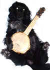 Douglas banjo.JPG (39563 bytes)
